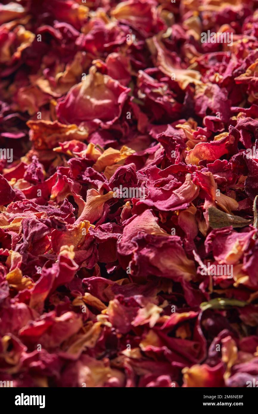 Petali di rosa secchi naturali, primo piano. Foto Stock