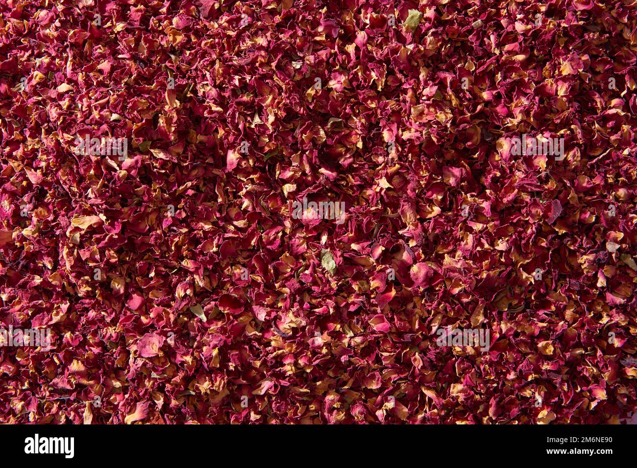 Sfondo naturale di petali rosa secchi. Foto Stock