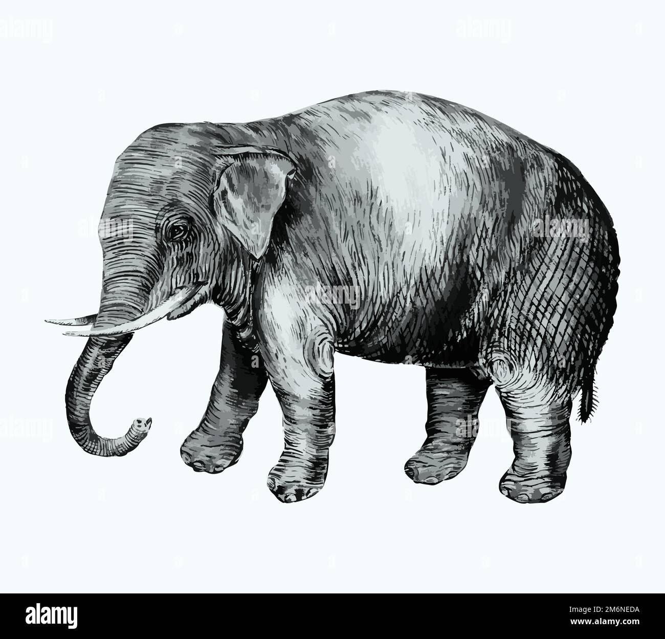 Illustrazione di elefante asiatico d'epoca in vettore Illustrazione Vettoriale