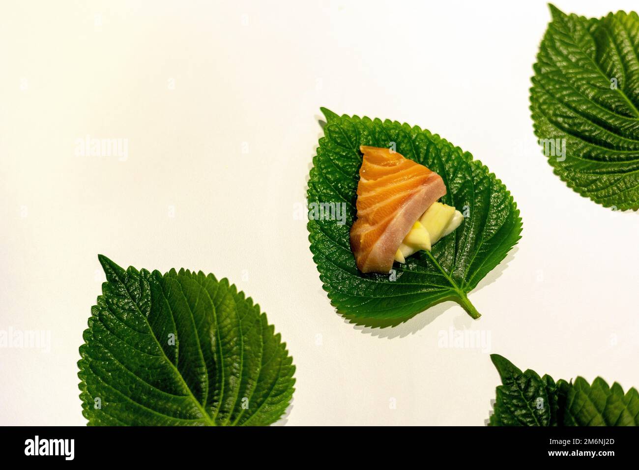 Affettato salmone e aglio sulle foglie fresche di sesamo, foglie di perilla disposte Foto Stock