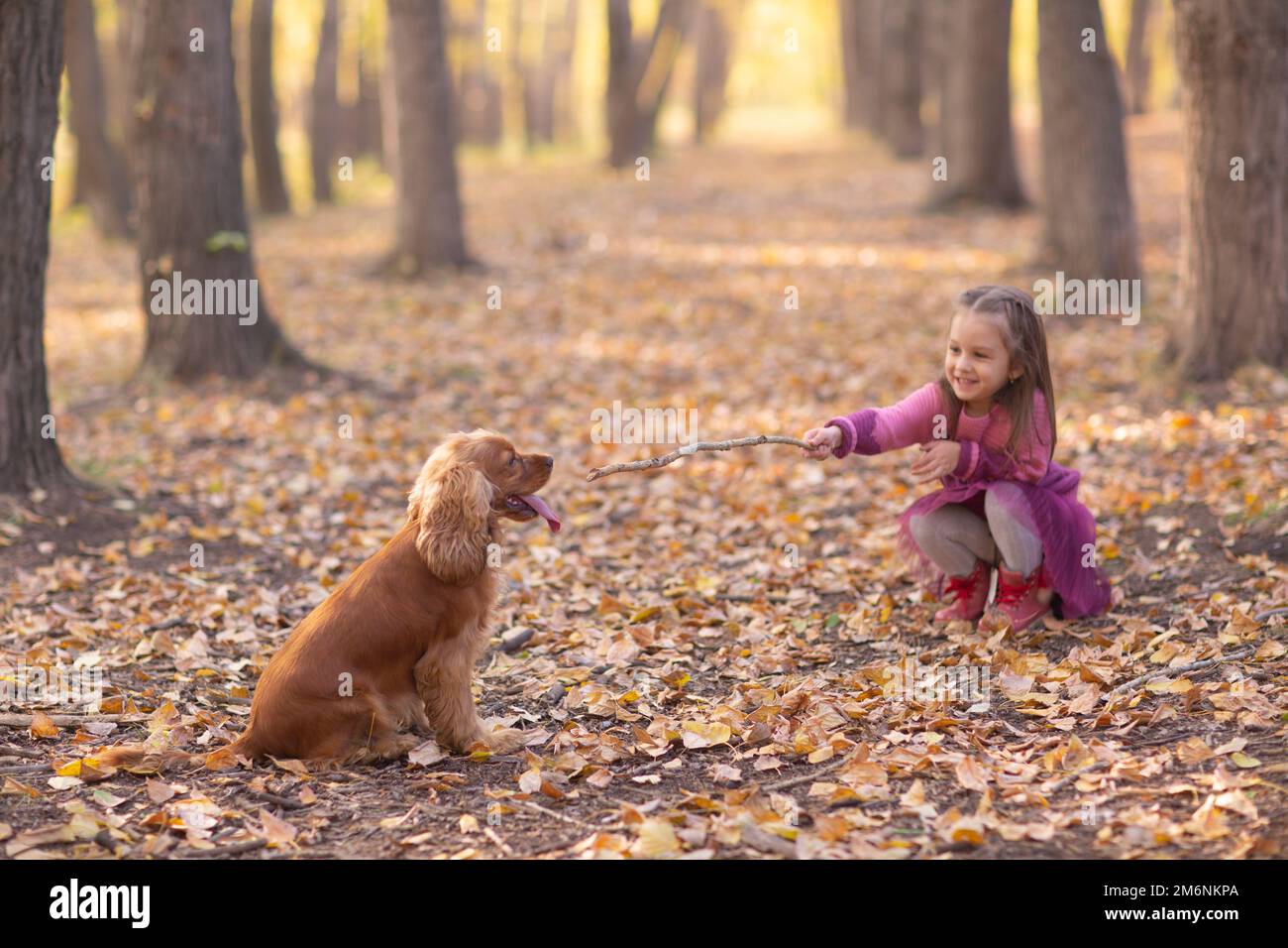 Carino bambina con cane in autunno parco con arancio e foglie di colore giallo Foto Stock