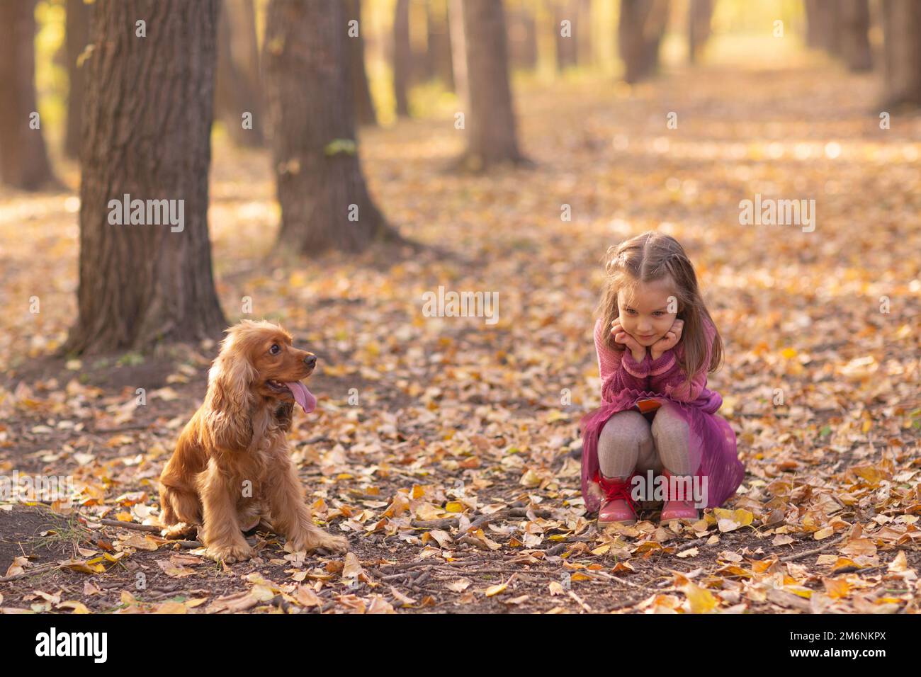 Carino bambina con cane in autunno parco con arancio e foglie di colore giallo Foto Stock
