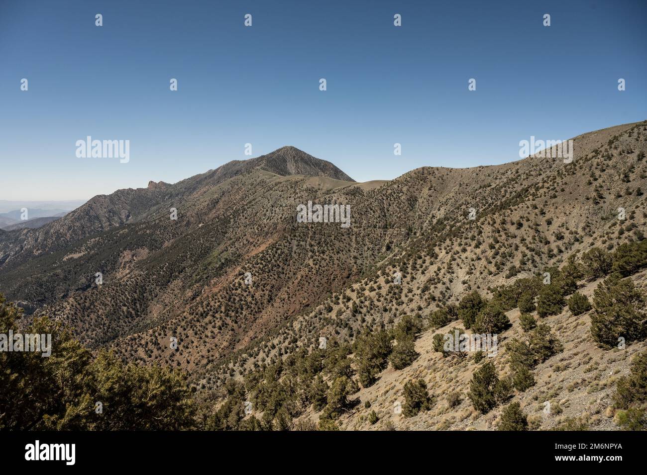 Guardando il lato orientale del Telescope Peak dal ripido Sentiero sottostante Foto Stock