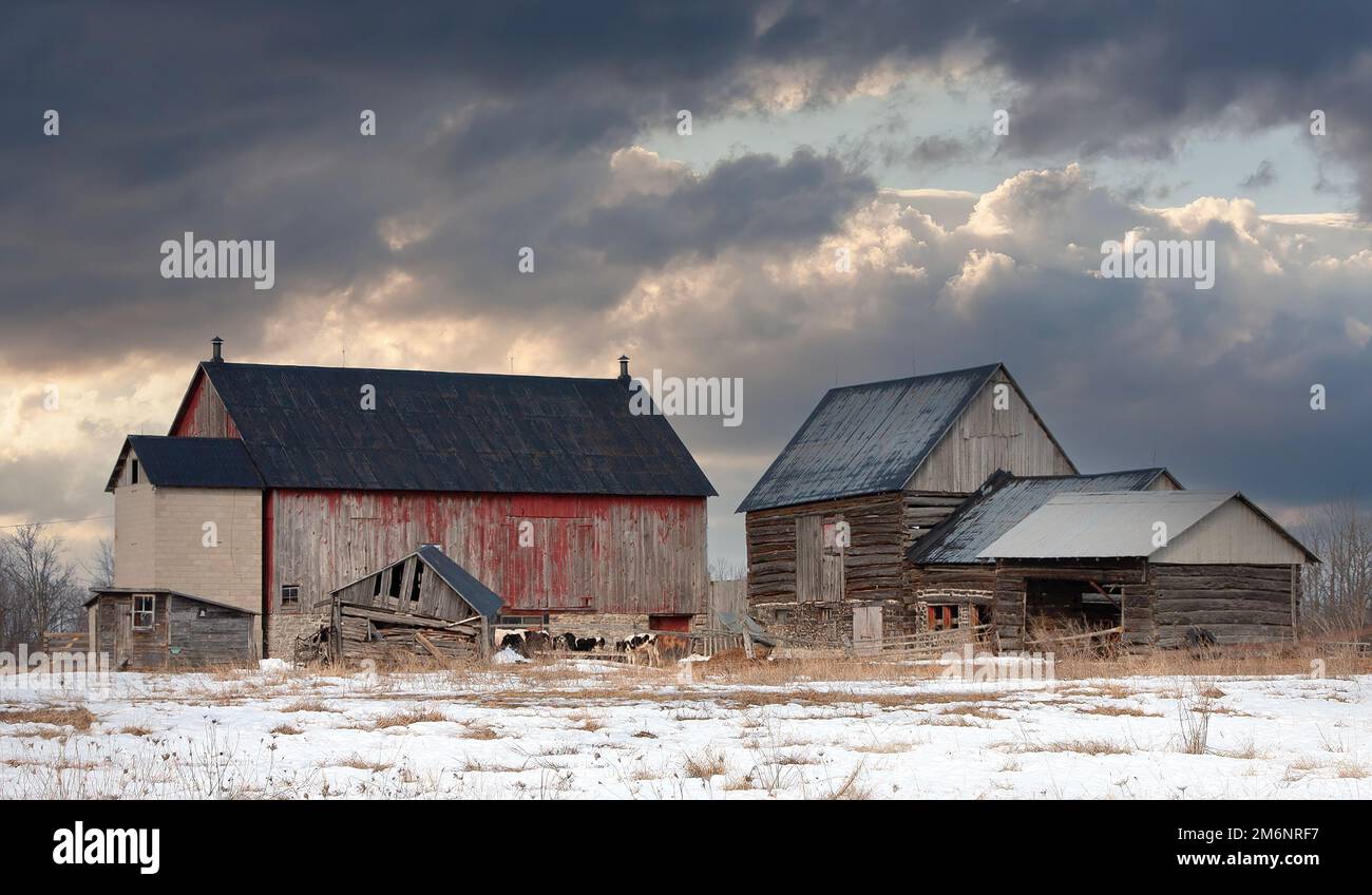 Un vecchio fienile rurale in una fredda giornata invernale in Ontario, Canada Foto Stock