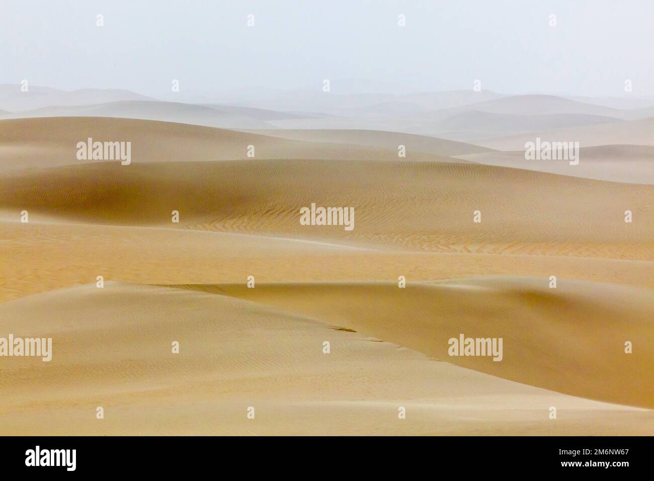 Deserto Taklamakan shifting-sabbie nella nebbia. Bacino di Tim. Regione autonoma dello Xinjiang (Sinkiang). Cina. Foto Stock