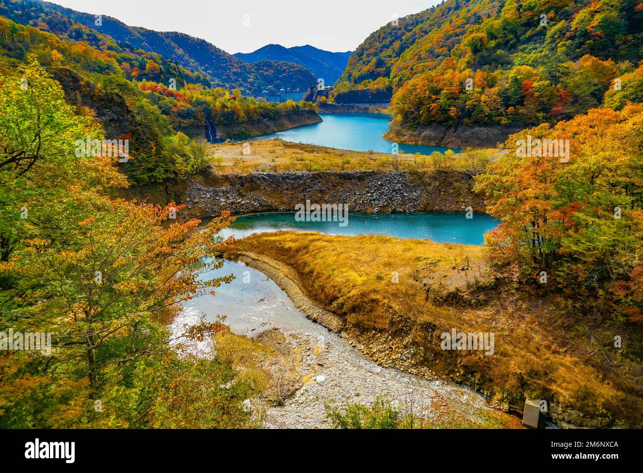 Okaw quattromila foglie autunnali Foto Stock