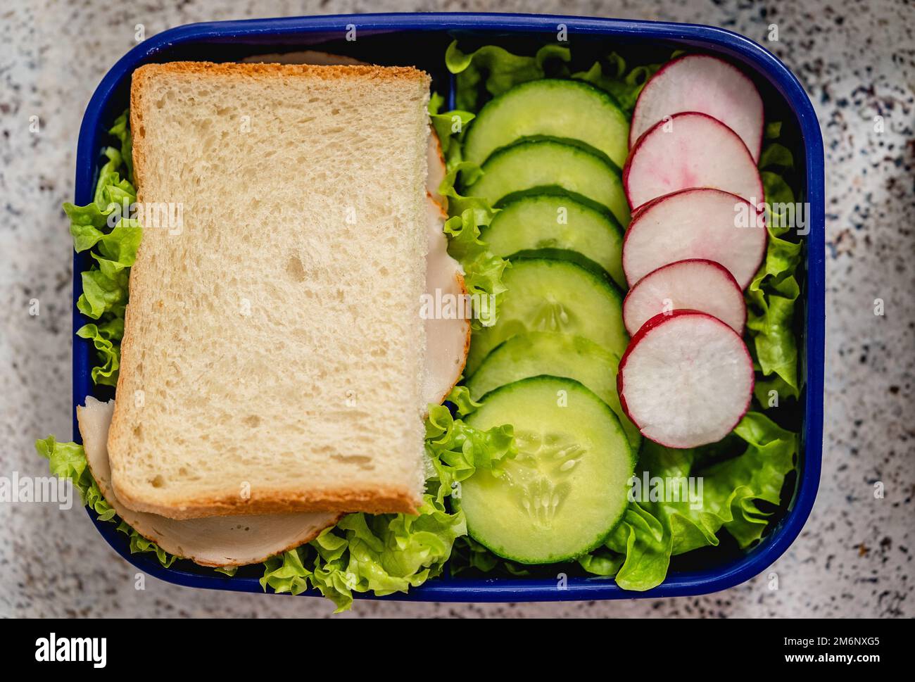 Pranzo al sacco a scuola verde con panino, cetriolo, radicchio e carota Foto Stock