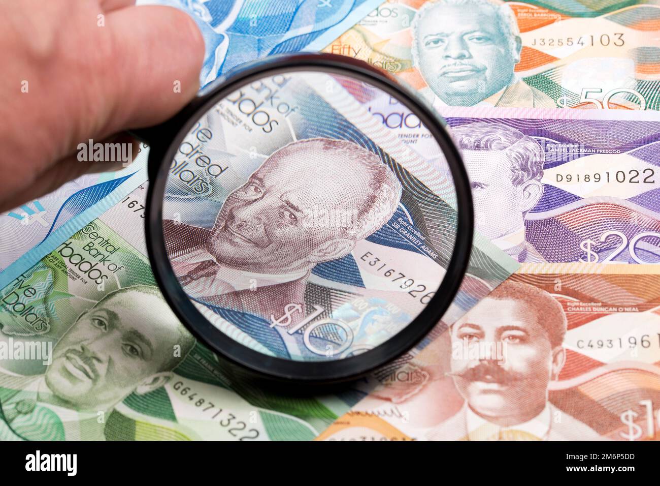 Dollaro barbadiano in una lente d'ingrandimento Foto Stock