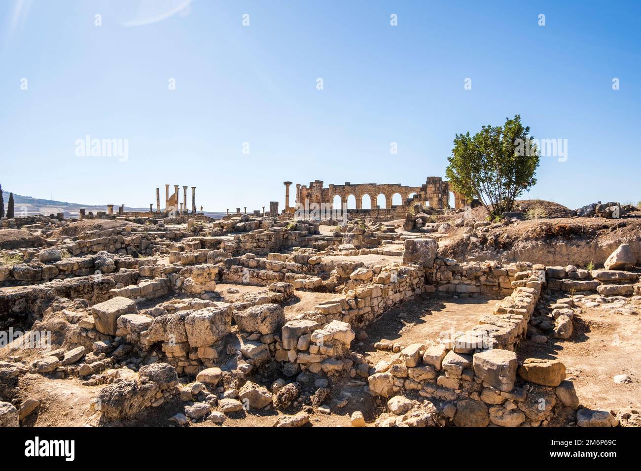 Rovine romane ben conservate a Volubilis, zona di Fez Meknes, Marocco, Africa settentrionale Foto Stock