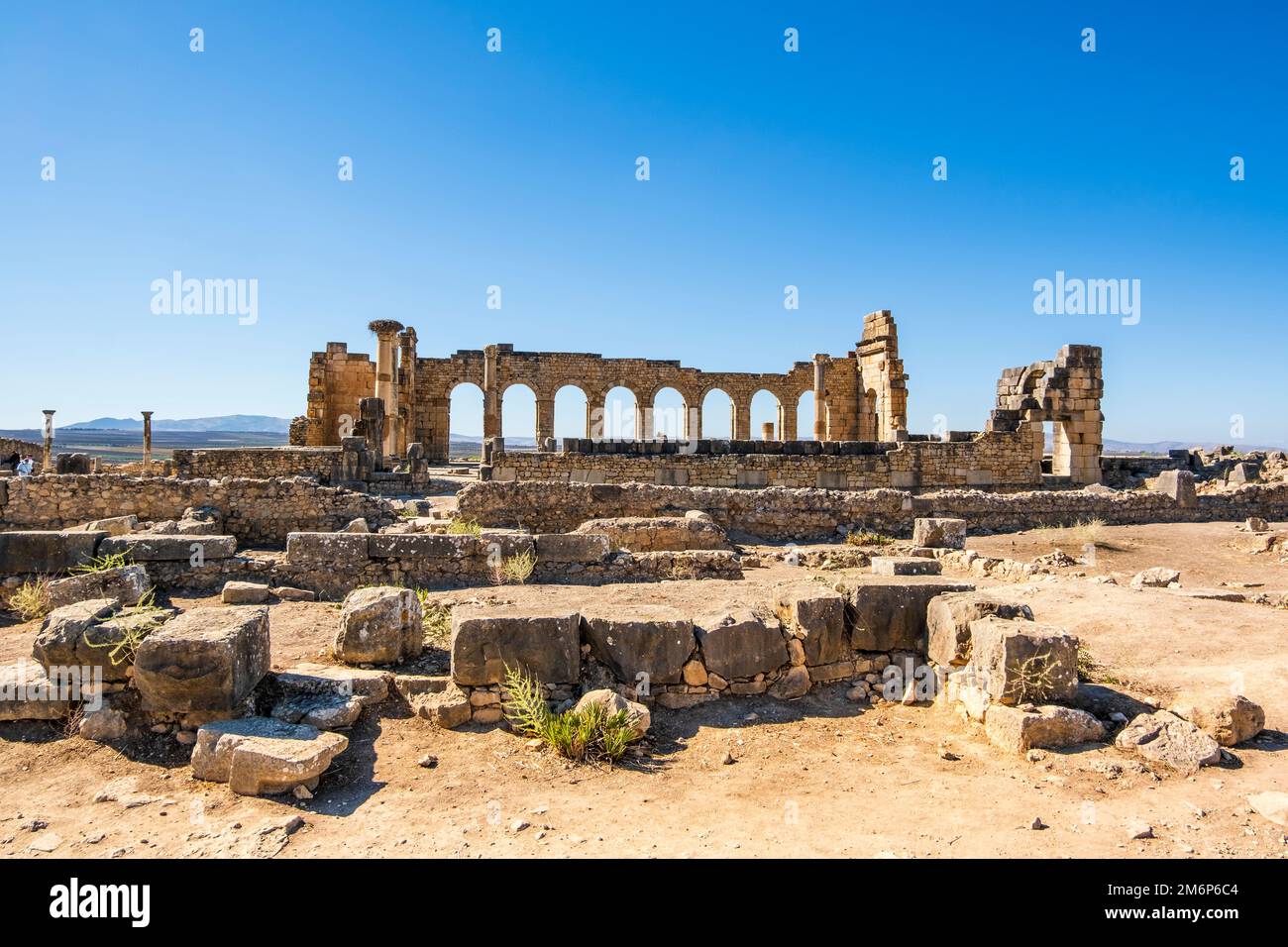 Rovine romane ben conservate a Volubilis, zona di Fez Meknes, Marocco, Africa settentrionale Foto Stock