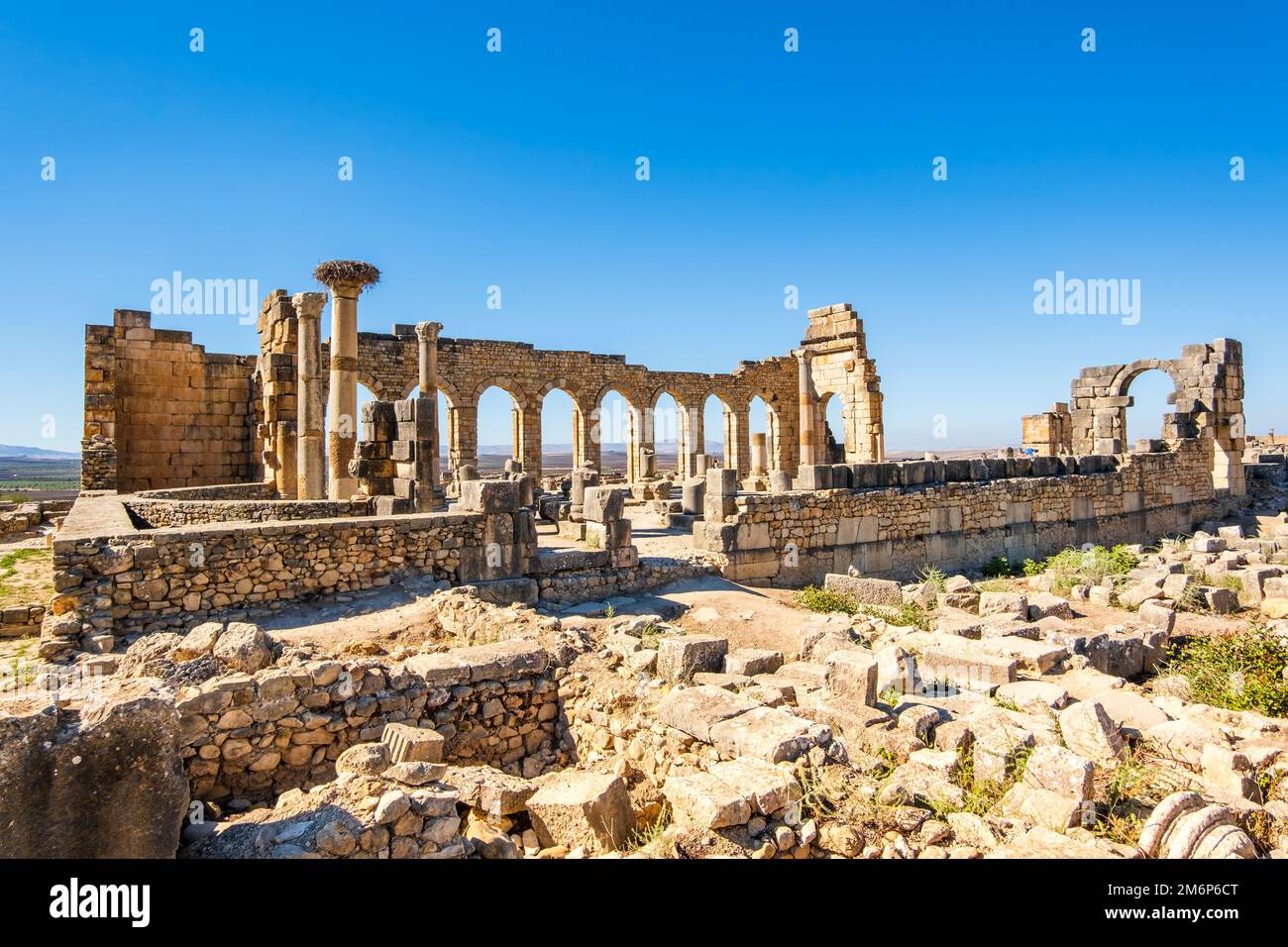 Rovine romane ben conservate a Volubilis, zona di Fez Meknes, Marocco, Africa settentrionale Foto Stock
