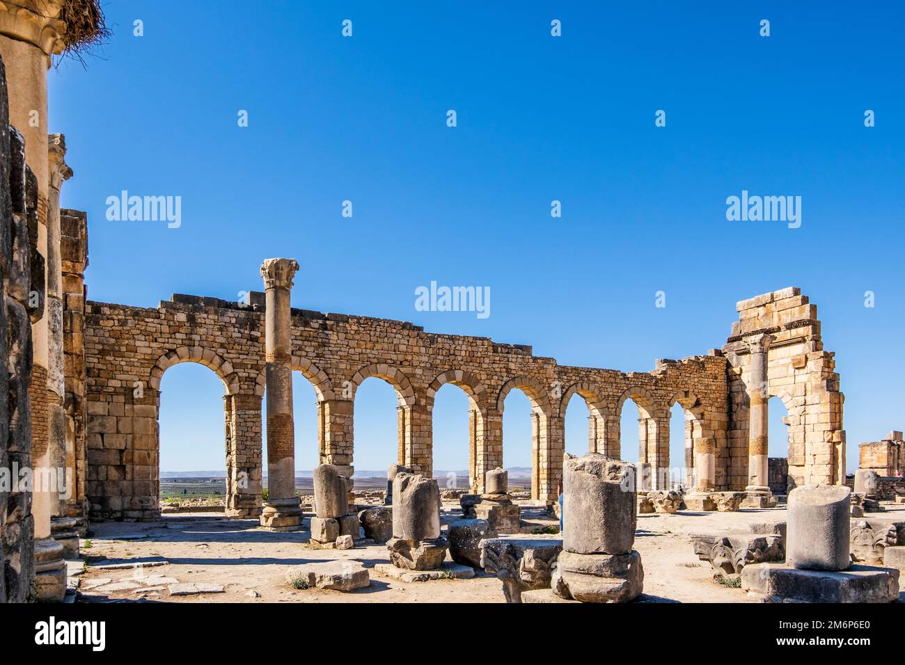 Rovine romane ben conservate a Volubilis, zona di Fez Meknes, Marocco, Africa settentrionale Foto Stock