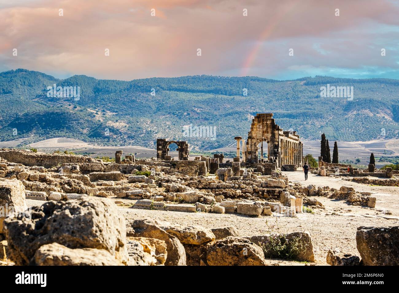 Rovine romane ben conservate a Volubilis, zona di Fez Meknes, Marocco, Africa settentrionale Foto Stock