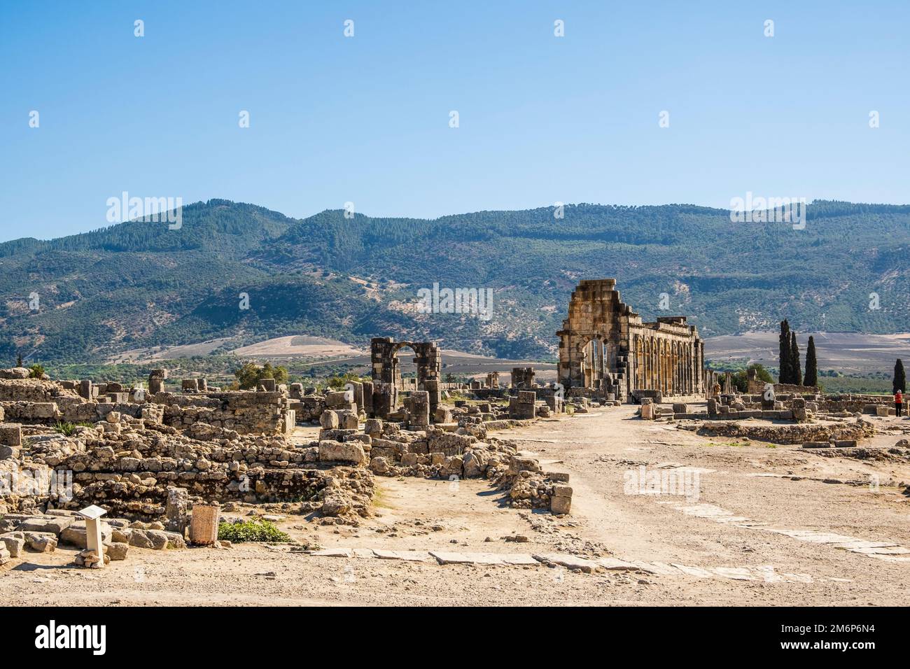 Rovine romane ben conservate a Volubilis, zona di Fez Meknes, Marocco, Africa settentrionale Foto Stock