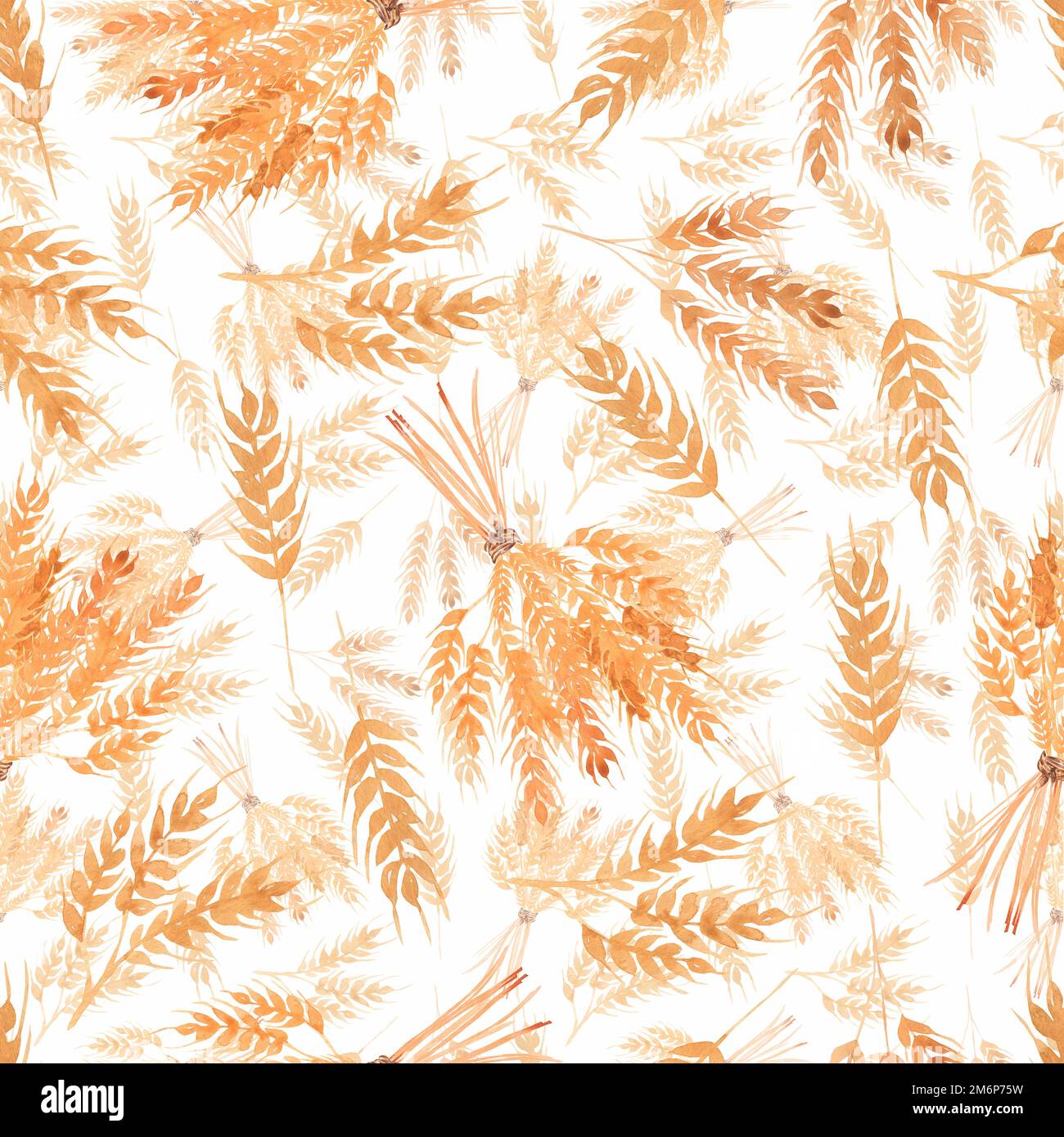 Acquerello disegnato a mano motivo continuo senza cuciture con bouquet di spighe di grano giallo autunno. Foto Stock