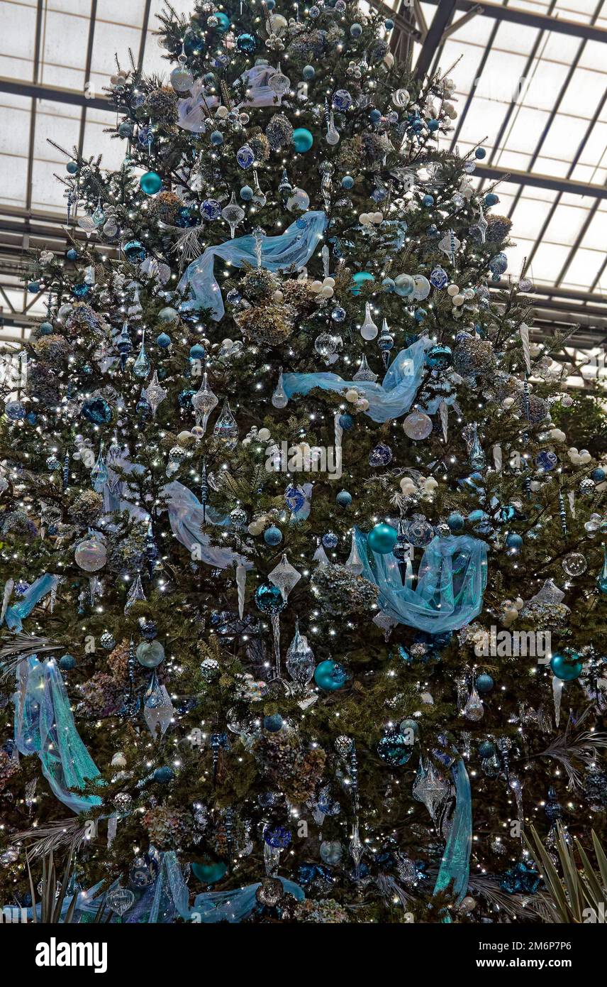 Grande albero, decorazioni blu, nastro, Conservatorio, Natale, Colorato, festivo, vacanza, Longwood Gardens, Pennsylvania, Kennett Square, Pennsylvania, inverno Foto Stock