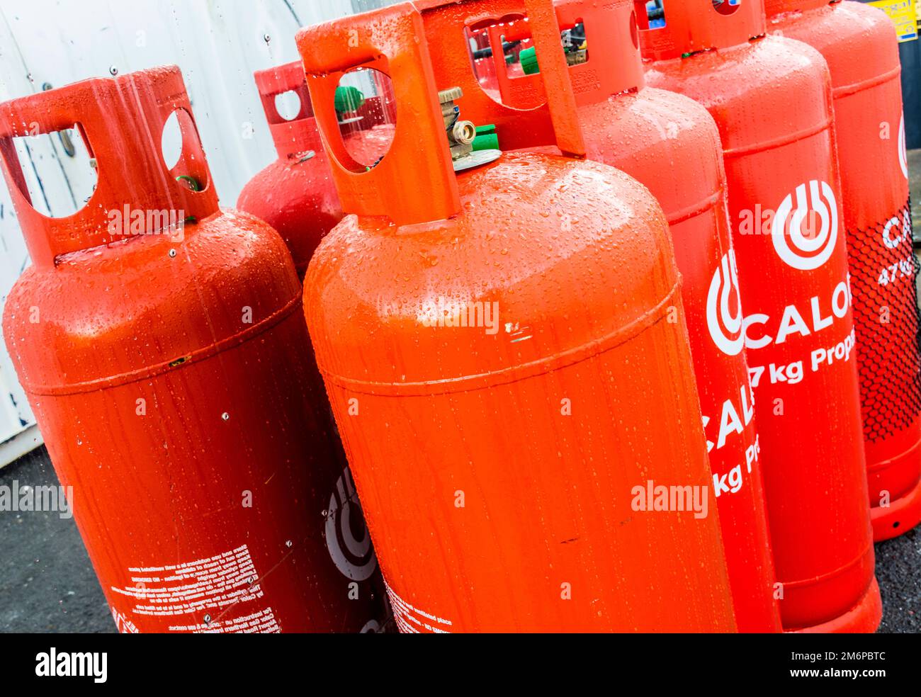 Bombole di gas Calor. Foto Stock