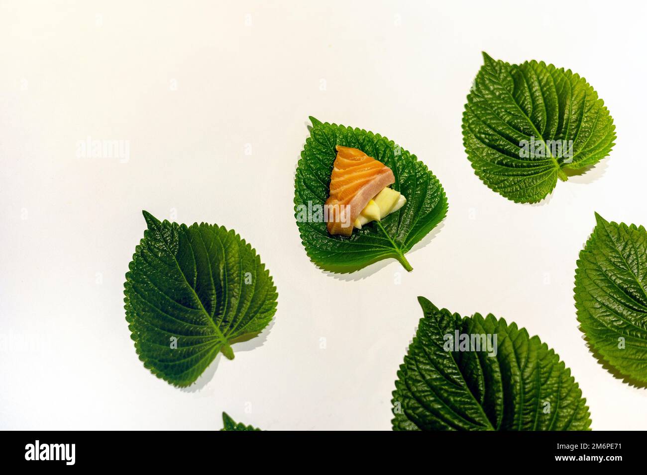 Affettato salmone e aglio sulle foglie fresche di sesamo, foglie di perilla disposte Foto Stock