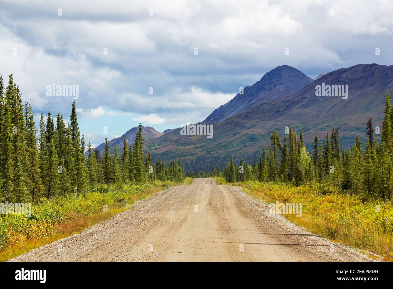 Strada su Alaska Foto Stock