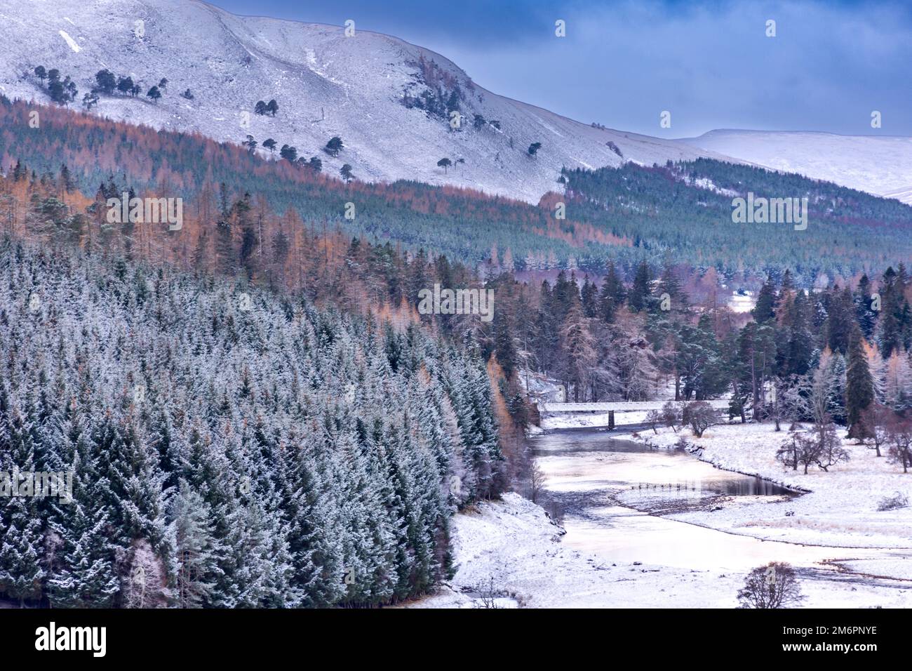 Braemar Scotland Linn of Dee guardando attraverso la valle coperta di neve fino al ponte Victoria sul fiume Foto Stock