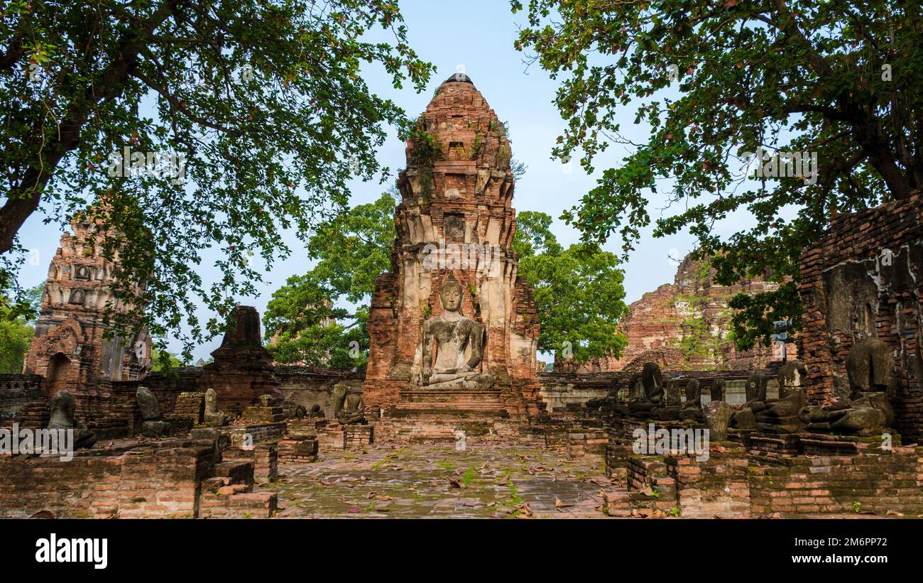 Ayutthaya, Thailandia a Wat Mahathat, stupa tempio nel mattingvisiting Ayyuthaya Thailandia Foto Stock