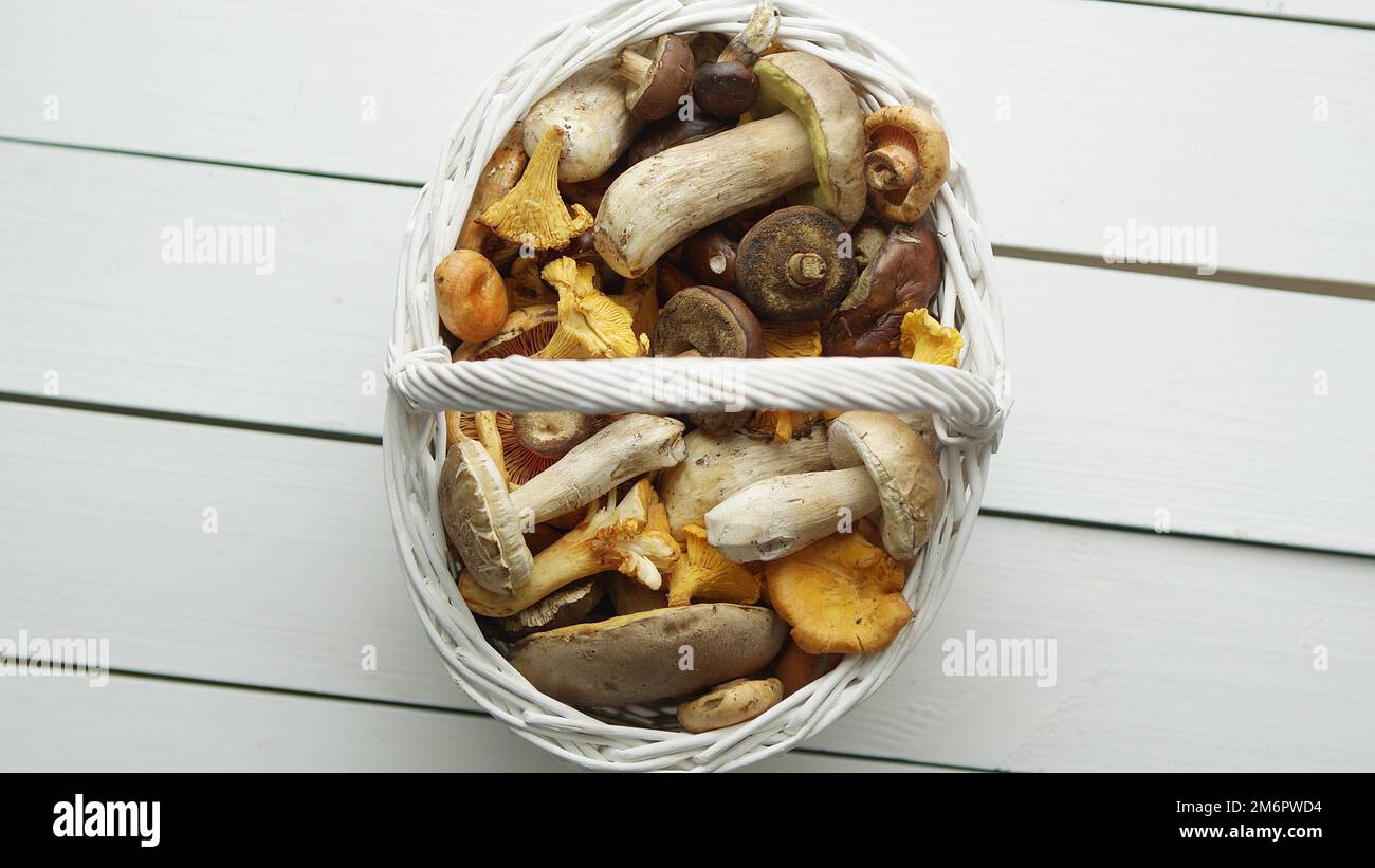 Vista dall'alto di vari funghi selvatici raccolti in un cesto di legno Foto Stock