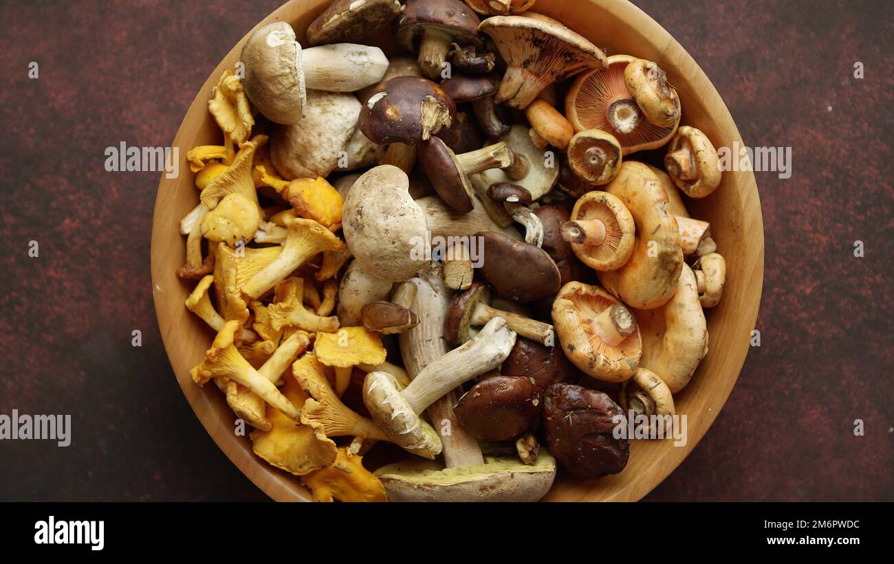 Vari tipi di funghi crudi assortiti messi in ciotola di legno Foto Stock