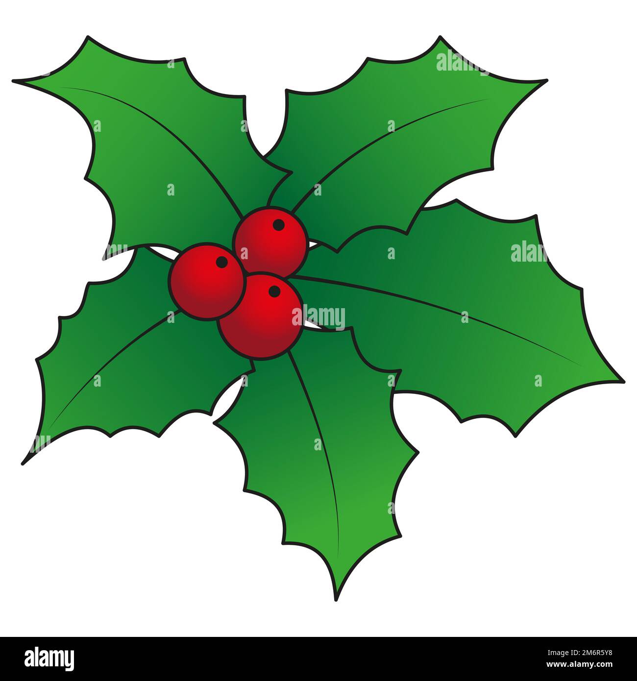 Foglie di agrifoglio e bacche e fiocco Foto Stock