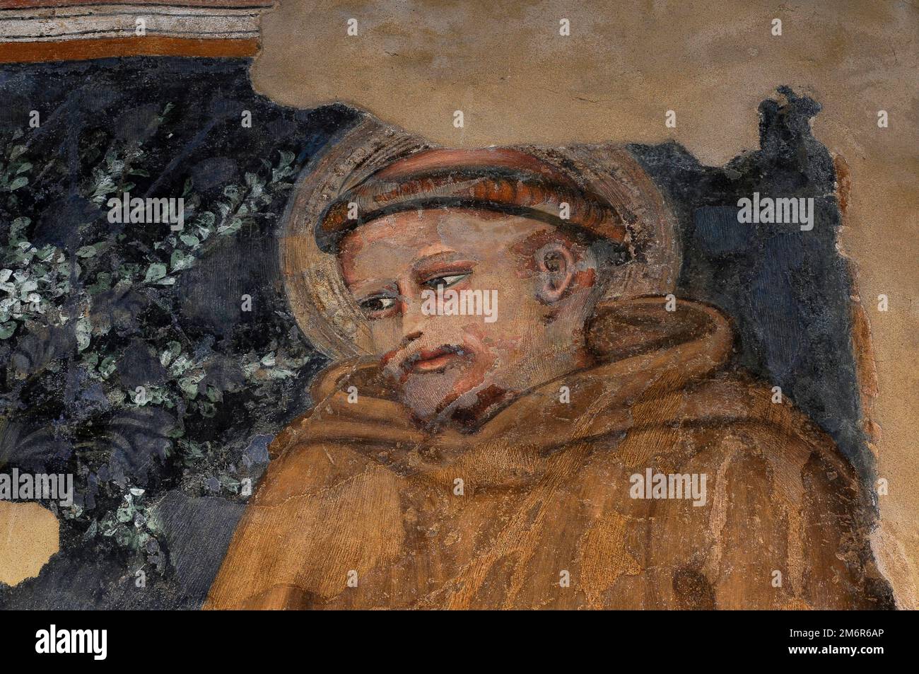 San Francesco d'Assisi tonsuato secondo l'abitudine di lana marrone dell'ordine francescano. Particolare della vita tardogotica di San Francesco ciclo di affreschi dipinto intorno al 1380 d.c. da due artisti della scuola senese, Cristoforo di Bindoccio (1360 - 1409) e Meo di Piero (1356 - 1407), nella Chiesa di San Francesco a Pienza, Toscana, Italia. Foto Stock