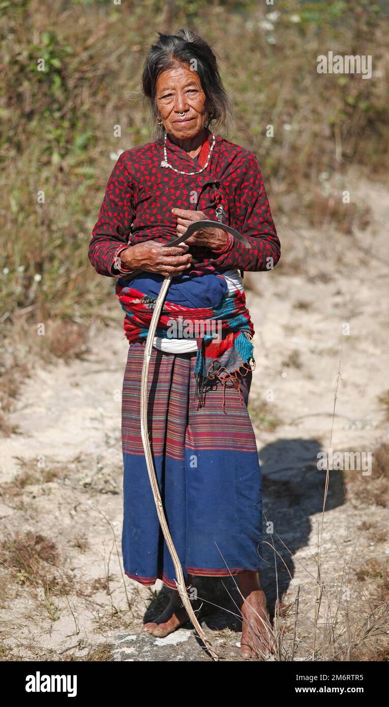Vecchia donna con anello nasale, gruppo etnico Tamang, valle di Kafalchur, Nagarkot, provincia di Bagmati, Distretto di Bhaktapur, Nepal Foto Stock