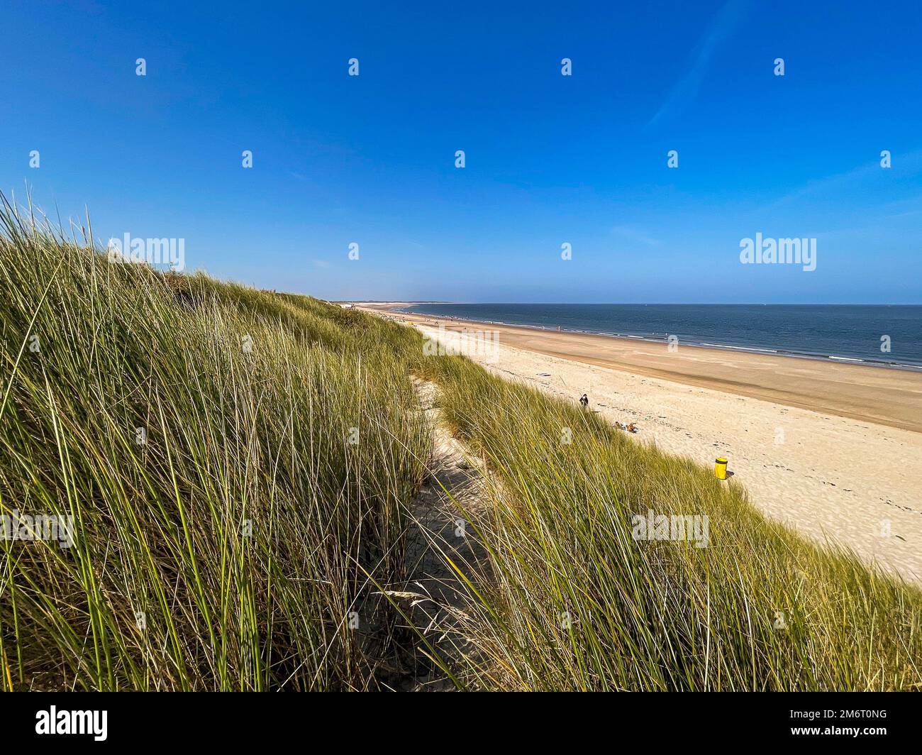 Bellissima spiaggia con dune e oceano Foto Stock