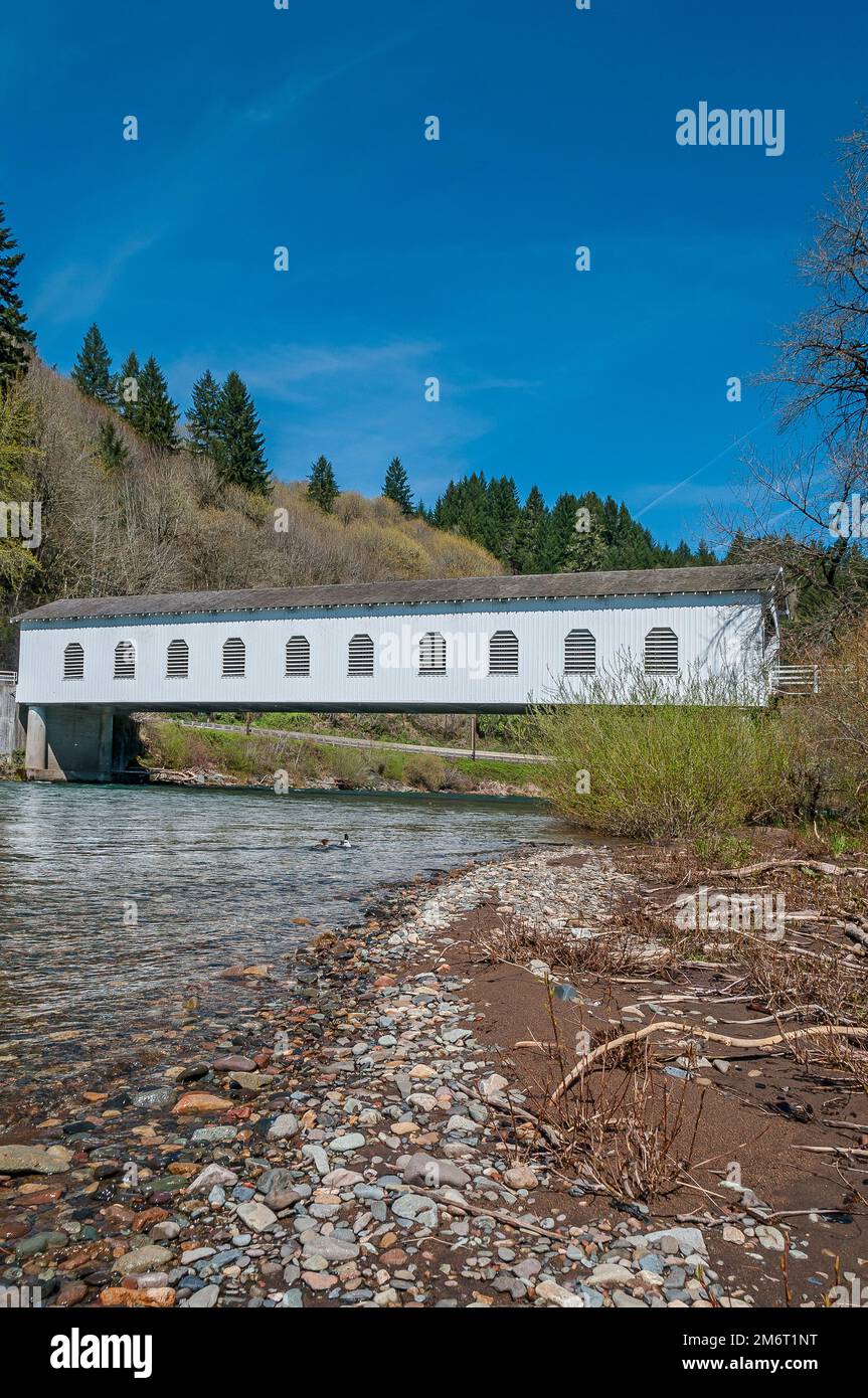 Vista laterale del Goodpasture Covered Bridge sull'autostrada 126, Lane County Parks sulla Hendricks Park Rd vicino a Springfield, Oregon. Foto Stock