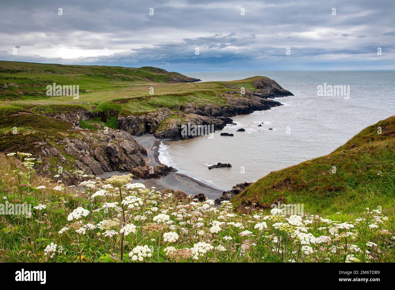Guarda lungo la costa sud-occidentale della Scozia a Galloway Foto Stock