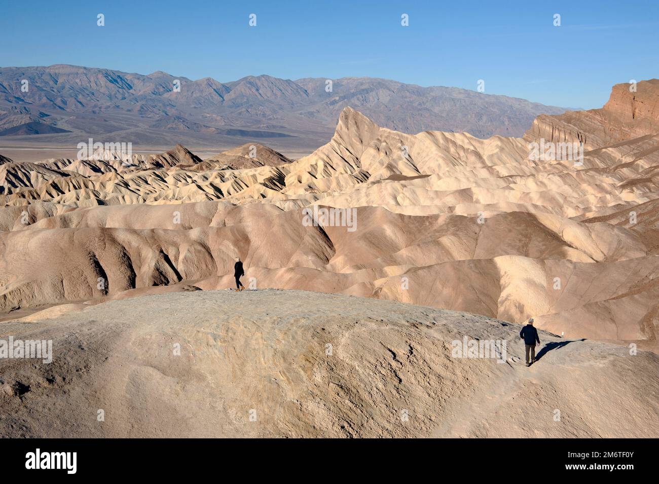 Zabriskie Point nella Death Valley, National Park, California, Stati Uniti Foto Stock