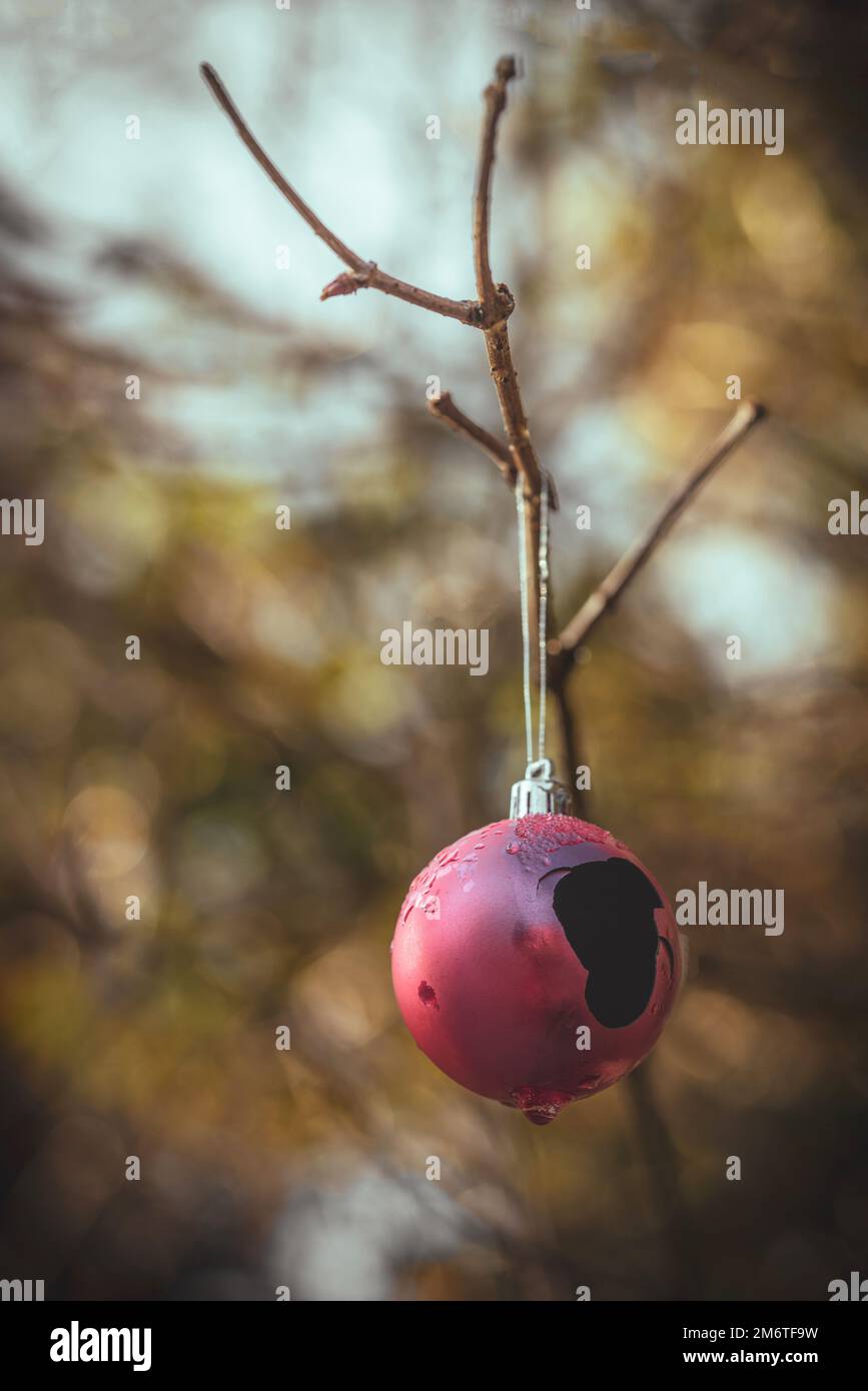 Oudoors decorazioni natalizie, primo piano di un rotto rosa di Natale babble appeso a un albero in un parco / bosco a Southampton, Inghilterra, Regno Unito Foto Stock