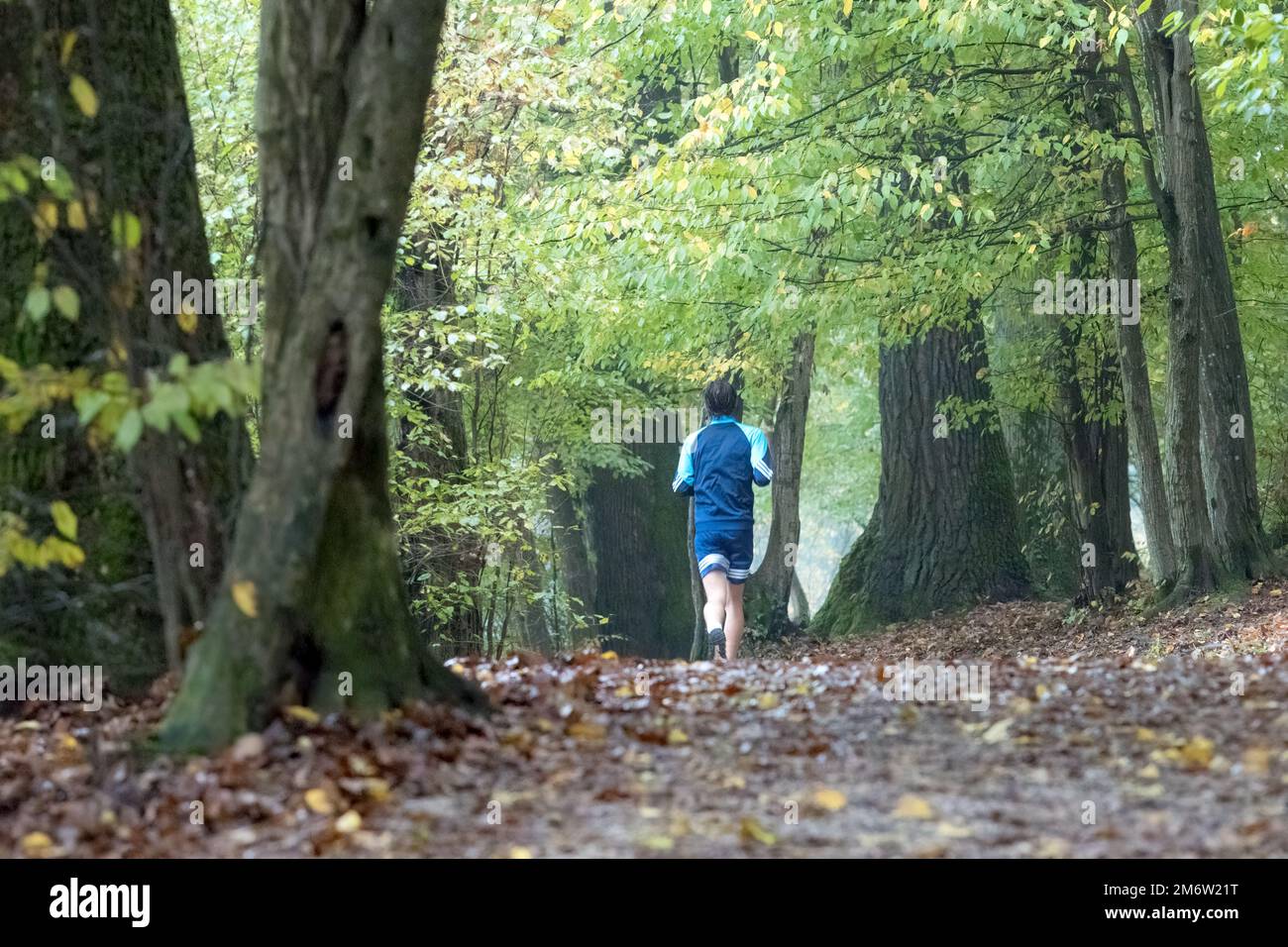 Trail runner man formazione nella foresta di fango piovoso Foto Stock