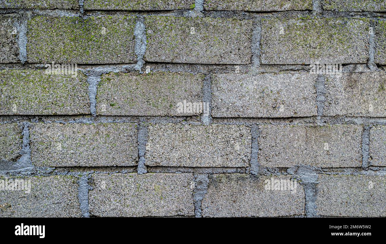 Cemento cemento cemento cemento muro texture, Sturdy muro sfondo. Foto Stock