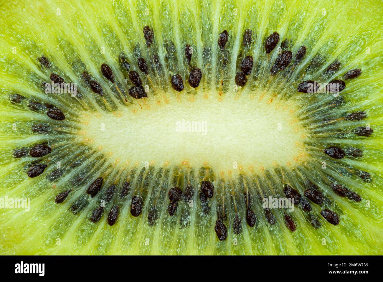 Vista estrema della sezione trasversale del kiwi crudo maturo carne di frutta. Foto Stock