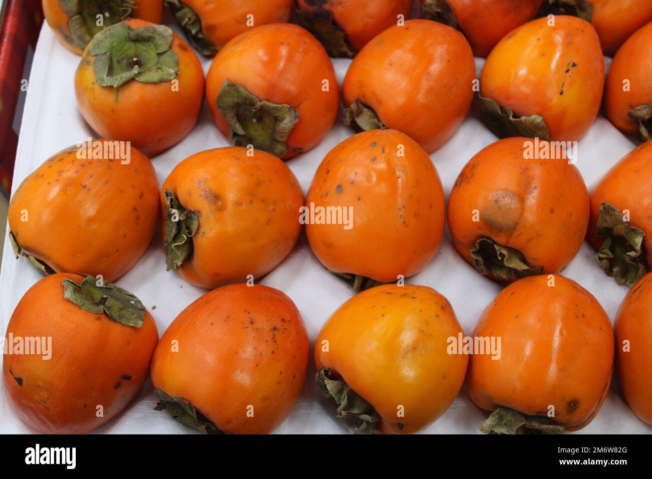 Persimmons rosso coreano fresco e maturo in set regalo Foto Stock