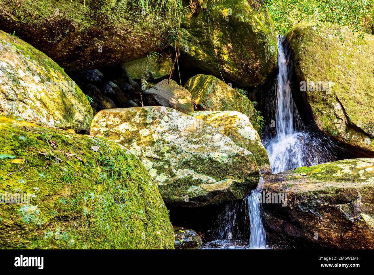 Piccola cascata tra rocce e foresta pluviale su Ilhabela Foto Stock