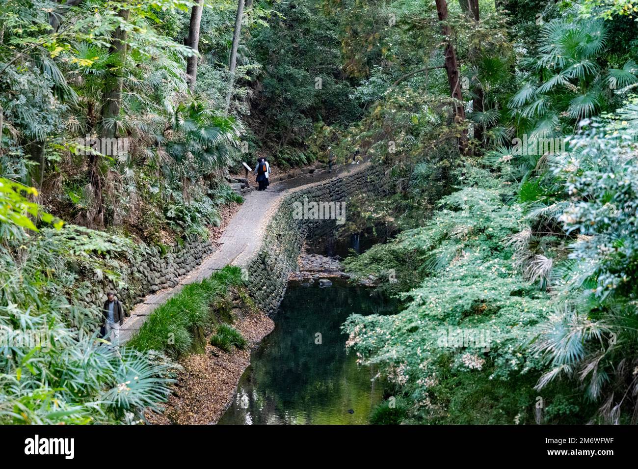 Parco del burrone di todoroki immagini e fotografie stock ad alta ...
