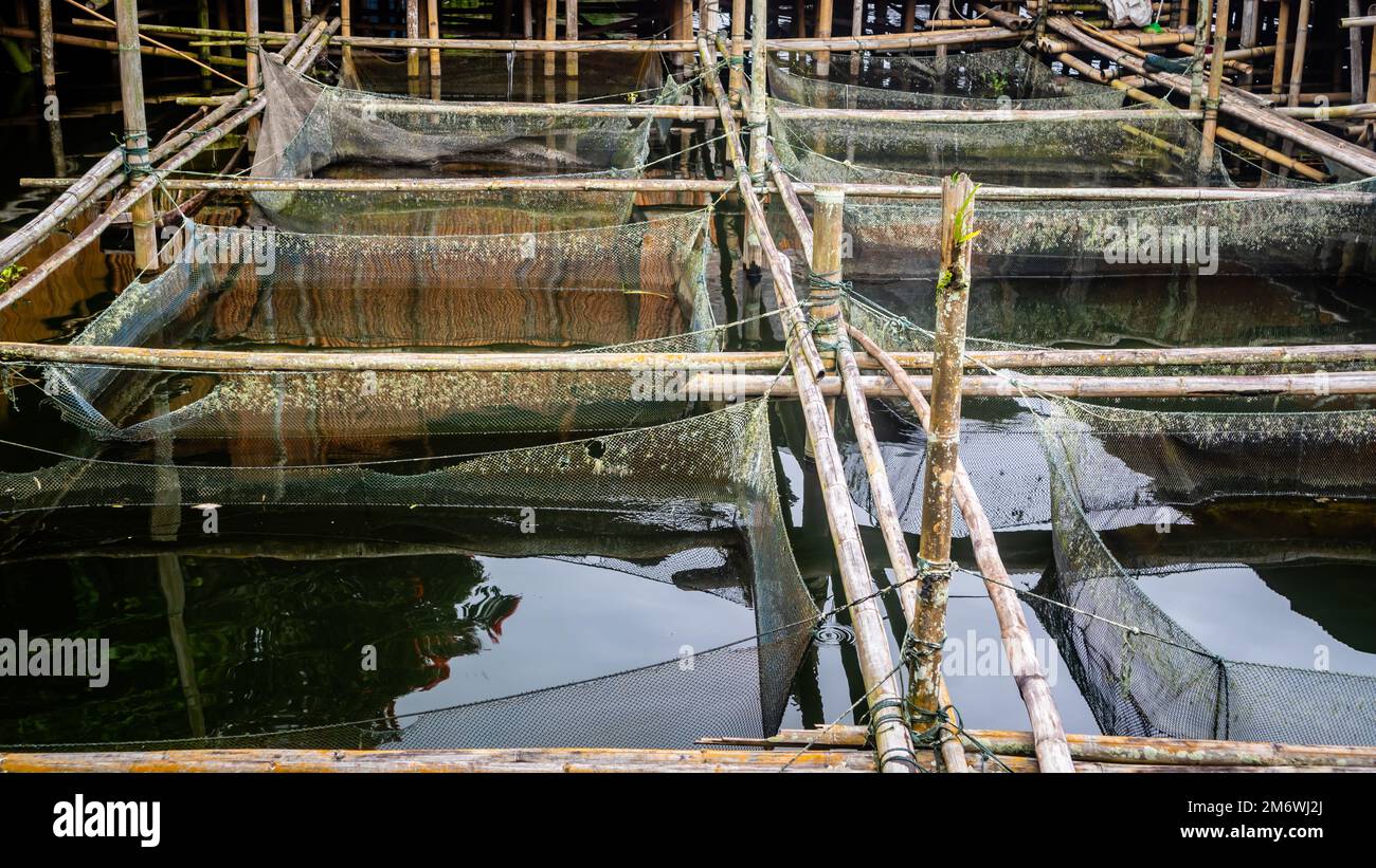 tradizionale fattoria di pesce sul lago tondano in bambù Foto Stock