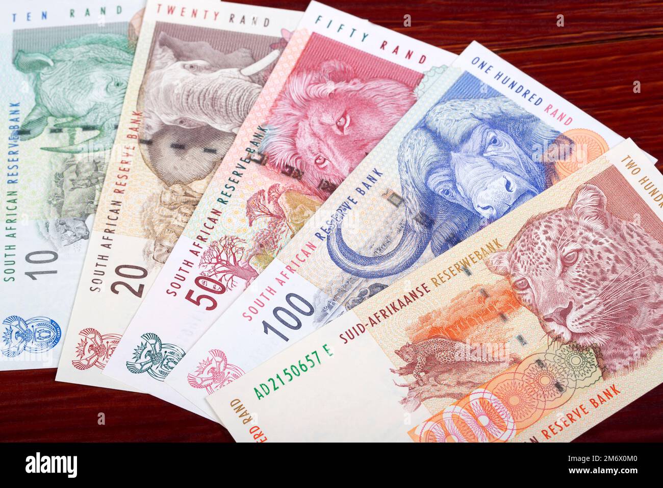 Denaro vecchio sudafricano - rand Foto Stock