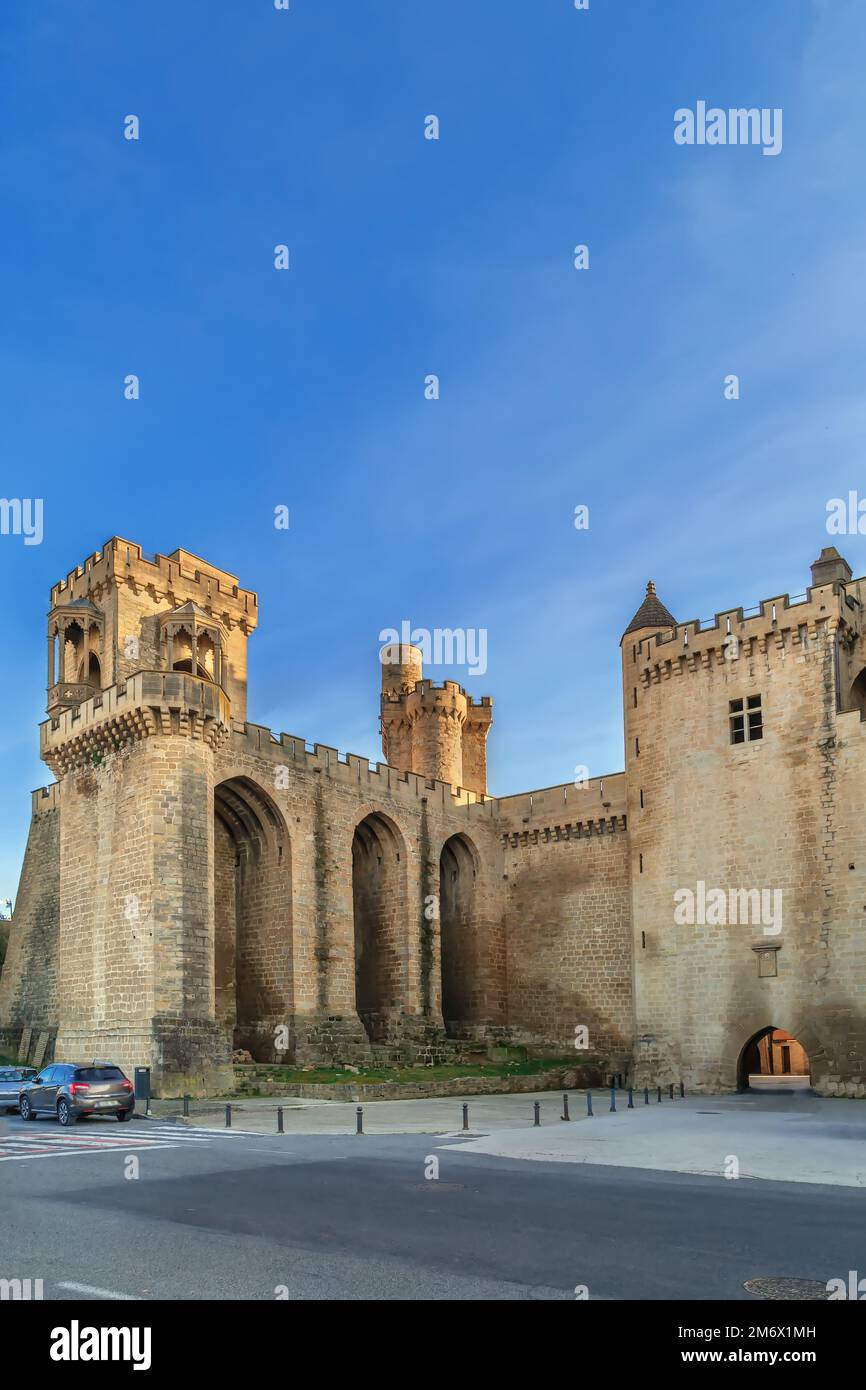Palazzo dei Re della Navarra, Olite, Spagna Foto Stock