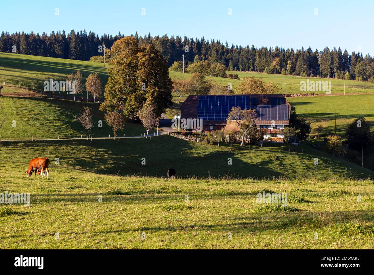 Bauernhof mit Solarenergie, St. Märgen Foto Stock