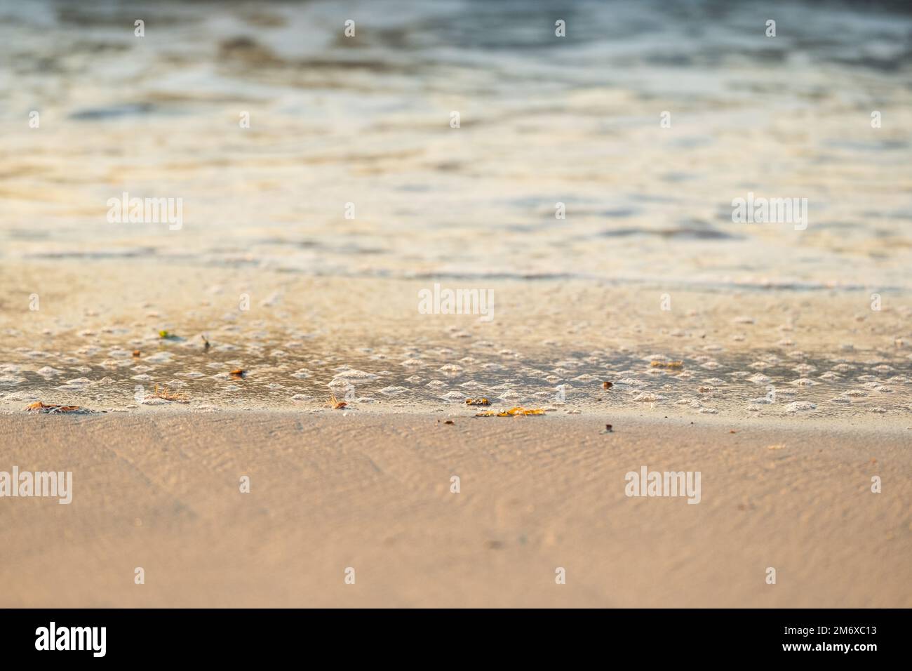 Bolle lasciate sulla spiaggia quando la marea si è riaffiorata. Tramonto Jurien Bay Australia Occidentale Foto Stock
