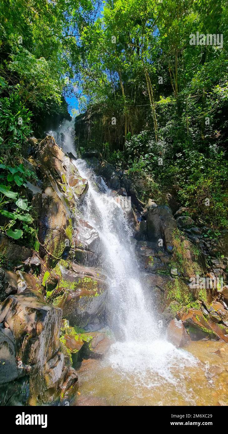 Panama, provincia di Chiriqui, cascata nella giungla tropicale Foto Stock