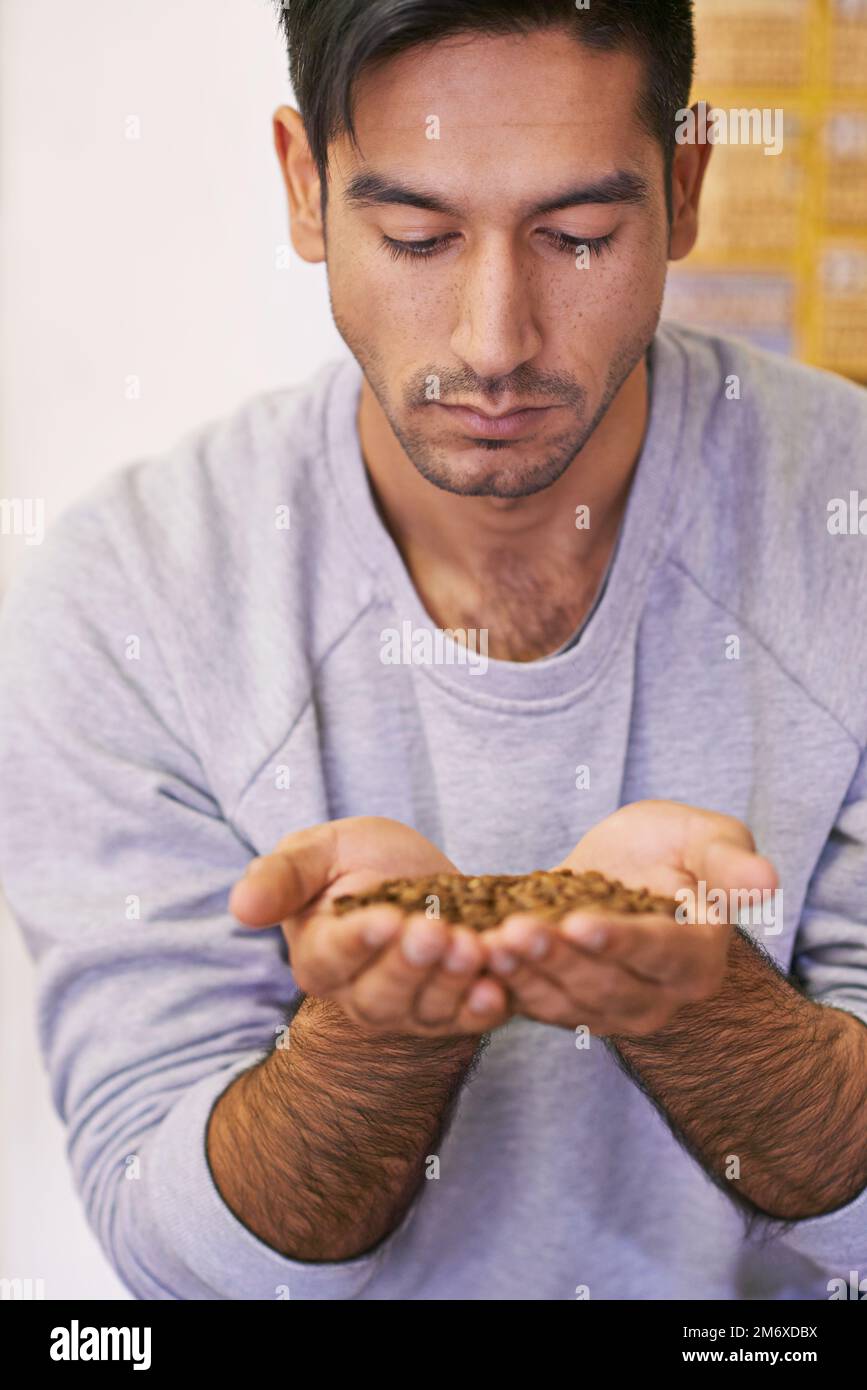 Ricco di sapore. un giovane che tiene in mano chicchi di caffè crudi. Foto Stock