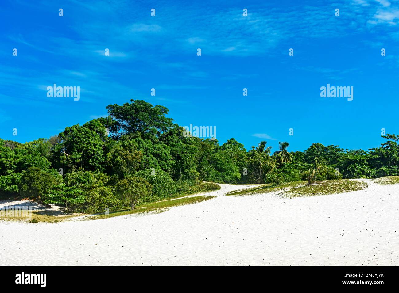 Dune di sabbia bianca ricoperte di vegetazione Foto Stock