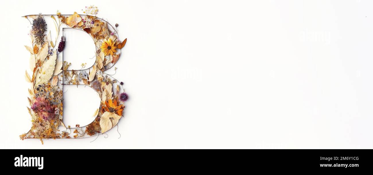 Lettera B ripiena di Rose rosse e bianche natura Floral perfetto per San Valentino 2023 - Graphic Design e stile banner. Foto Stock